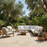 Trulli Avorio Porcelain Tile - Matte
