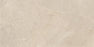 Tune Desert Porcelain Tile - 24" x 24" Matte