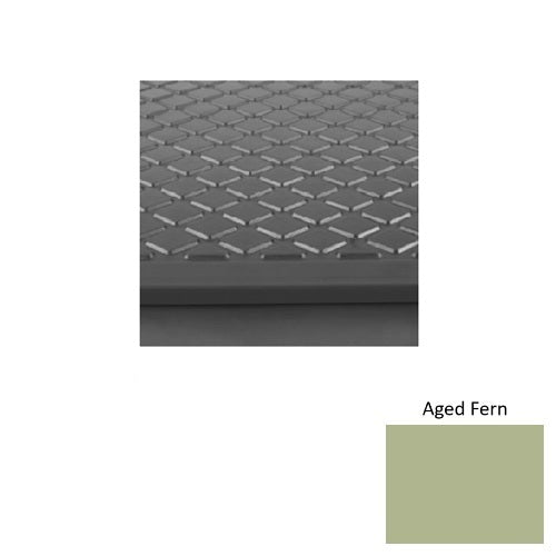 Aged Fern 663