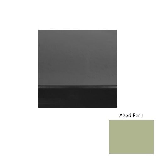 Aged Fern 663
