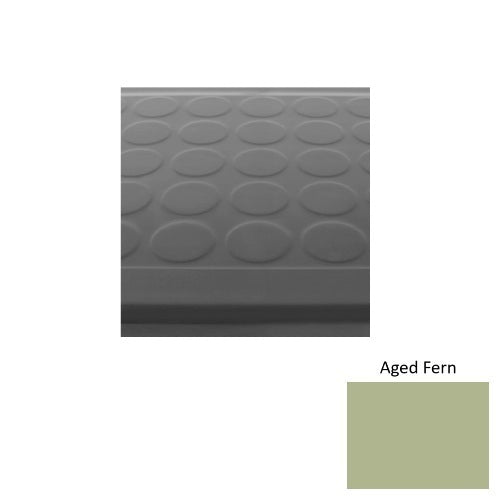 Aged Fern 663