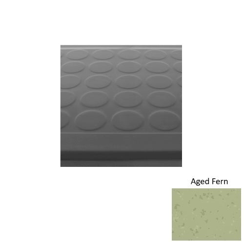 Aged Fern S663