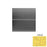 Daffodil R692