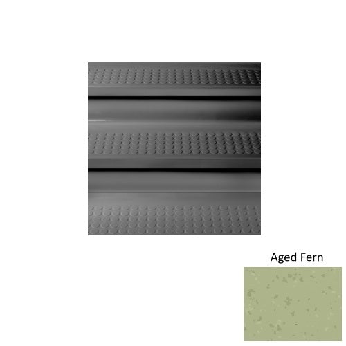 Aged Fern S663