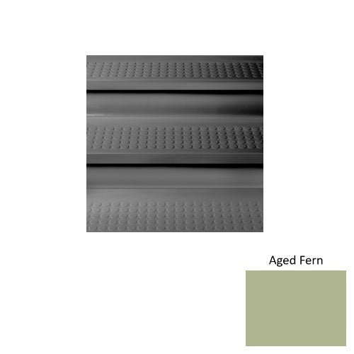 Aged Fern 663