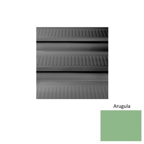 Arugula 685