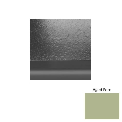 Aged Fern 663