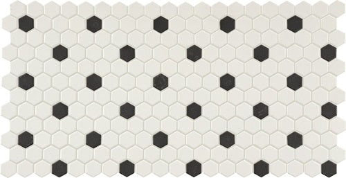 Unglazed Mosaics Ice White / Black Dots AO16