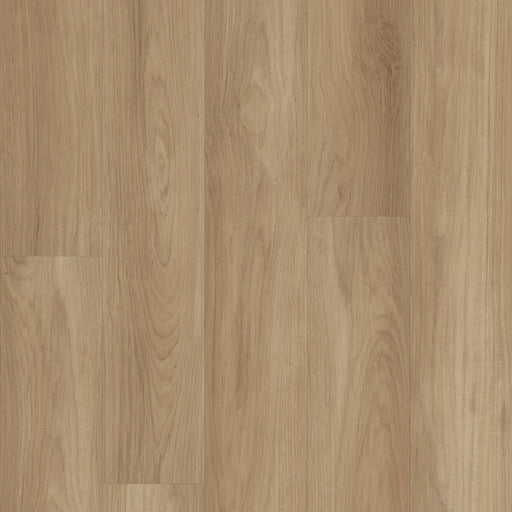 Classic Series Distinction Plus Hazelnut Brown WPC Resilient Luxury Vinyl Plank Flooring - ScufResist
