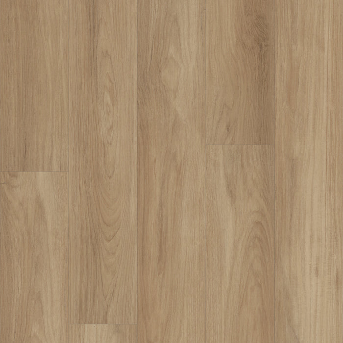 Classic Series Distinction Plus Hazelnut Brown WPC Resilient Luxury Vinyl Plank Flooring - ScufResist