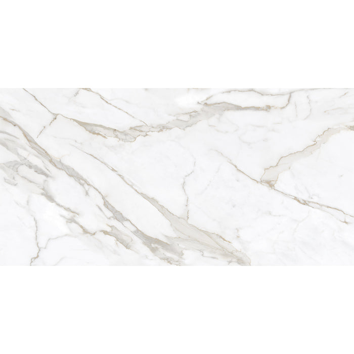 Velanza Porcelain Oro Tile Matte 2