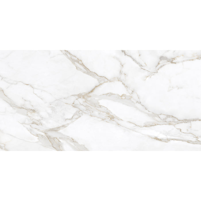 Velanza Porcelain Oro Tile Matte 4