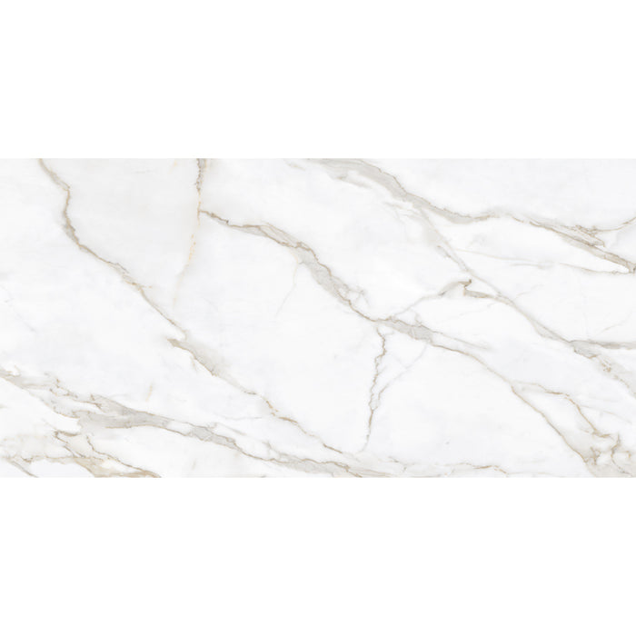 Velanza Porcelain Oro Tile Matte 5