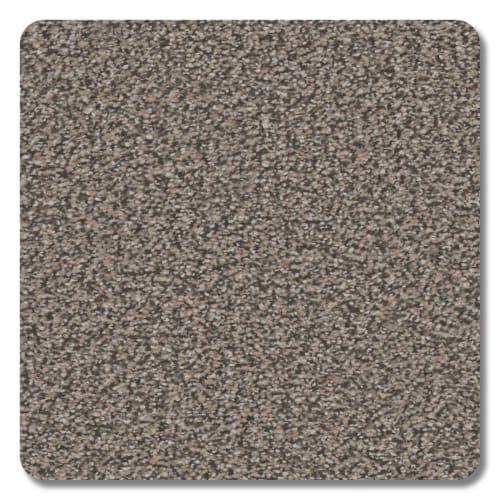 Valley View Creek Bed Polyester Carpet - Textured