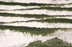 Vanishing Point Royaltron|Polypropy Meadow 34154 Carpet VANIS Textured 1