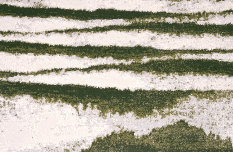 Vanishing Point Royaltron|Polypropy Meadow 34154 Carpet VANIS Textured 1