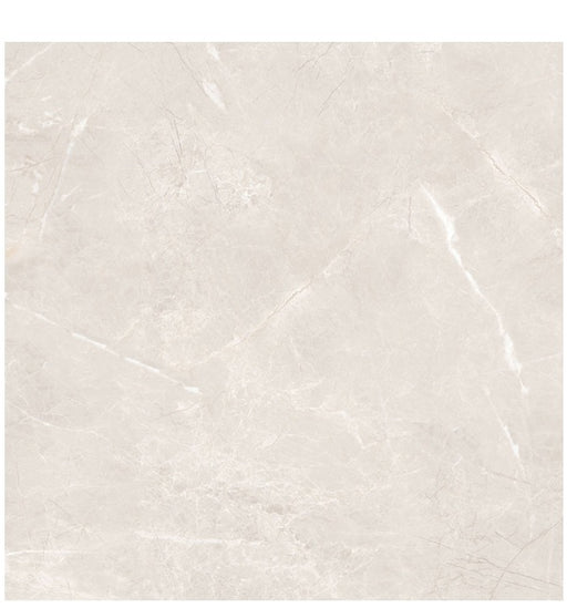 Vanserra Porcelain Platinum VA22 Tile Matte 1