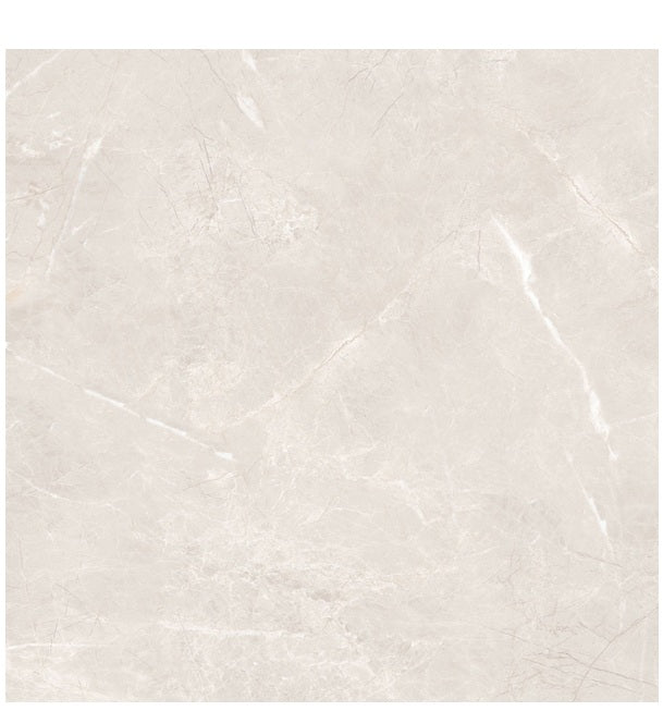 Vanserra Porcelain Platinum VA22 Tile Matte 1