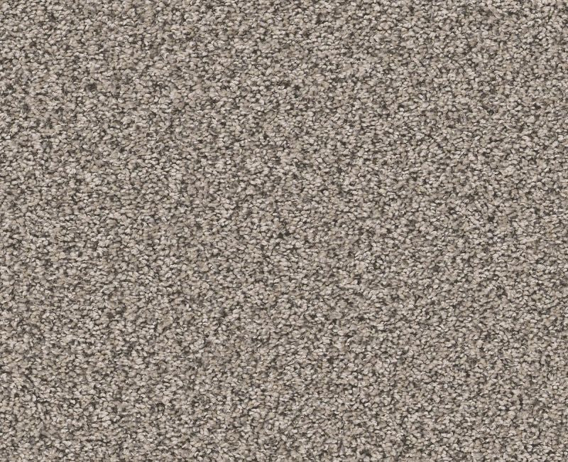 Remixed Classic Vapor Polyester Carpet - Textured