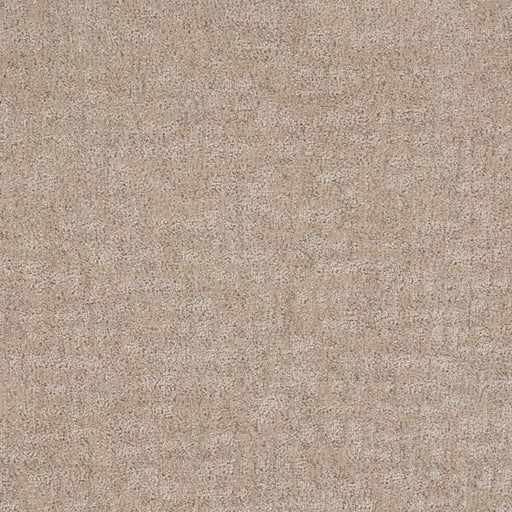 Veiled Tapestry Polypropylene Delicacy Carpet Loop 1
