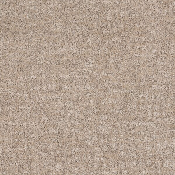 Veiled Tapestry Polypropylene Delicacy Carpet Loop 1