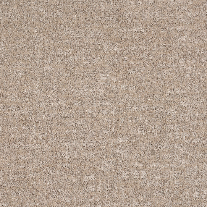 Veiled Tapestry Polypropylene Delicacy Carpet Loop 2