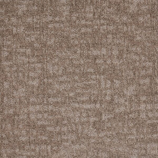 Veiled Tapestry Polypropylene Filaments Carpet Loop 1