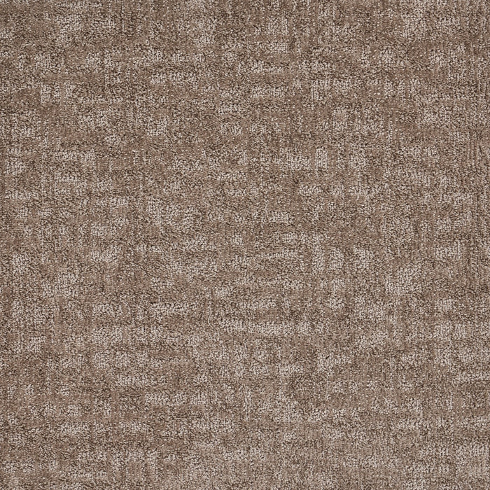 Veiled Tapestry Polypropylene Filaments Carpet Loop 2