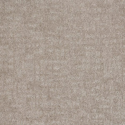 Veiled Tapestry Polypropylene Silver Carpet Loop 1