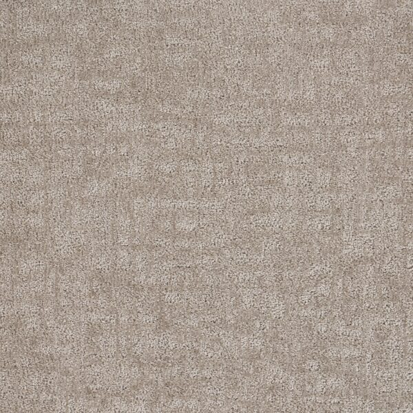 Veiled Tapestry Polypropylene Silver Carpet Loop 1