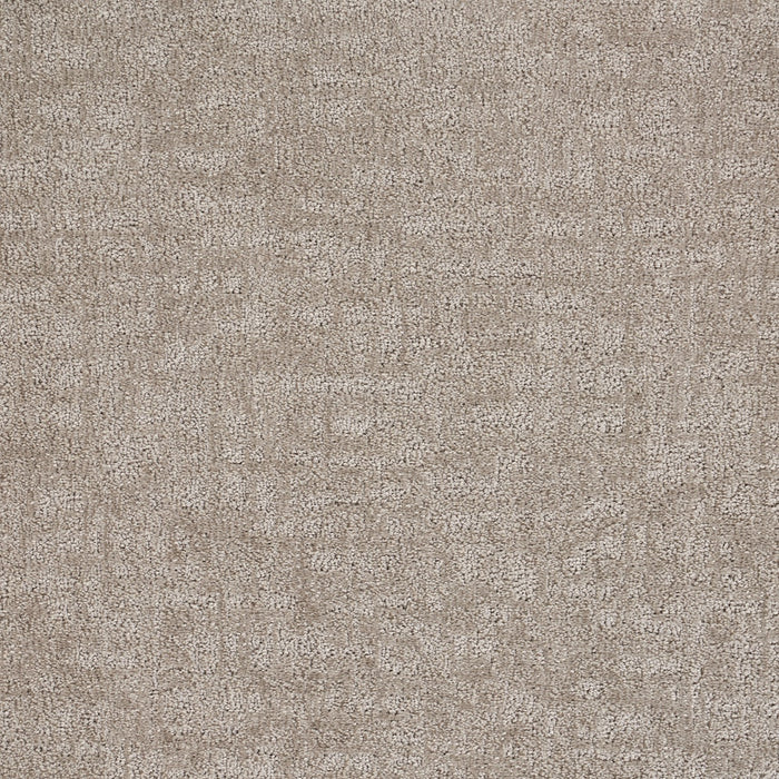 Veiled Tapestry Polypropylene Silver Carpet Loop 2