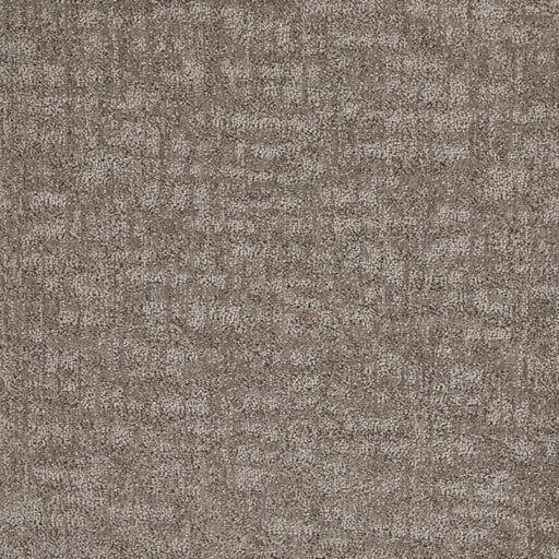 Veiled Tapestry Polypropylene Decor Carpet Loop 1