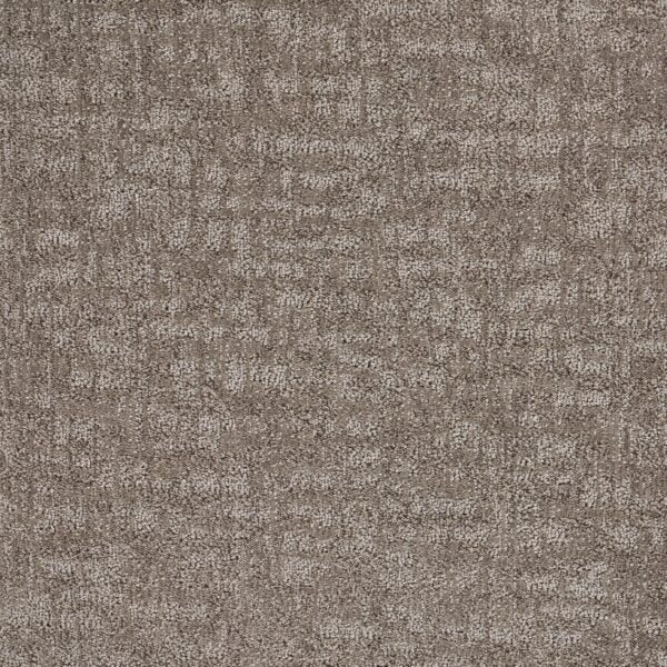 Veiled Tapestry Polypropylene Decor Carpet Loop 1