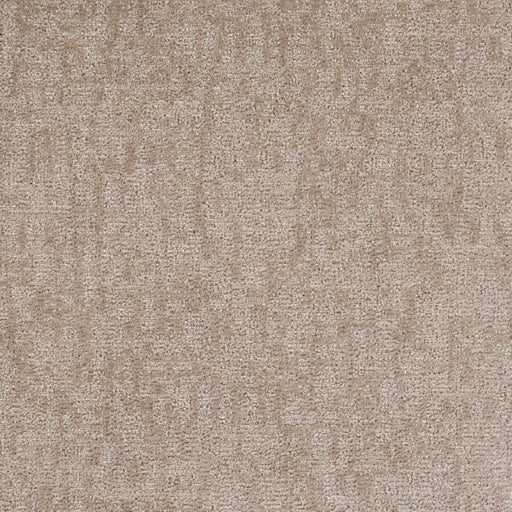 Veiled Tapestry Polypropylene Intricate Carpet Loop 1