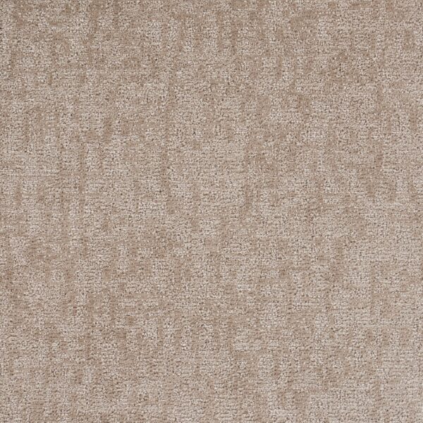 Veiled Tapestry Polypropylene Intricate Carpet Loop 1