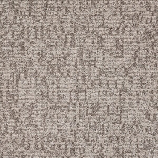 Veiled Tapestry Polypropylene Refined Carpet Loop 1