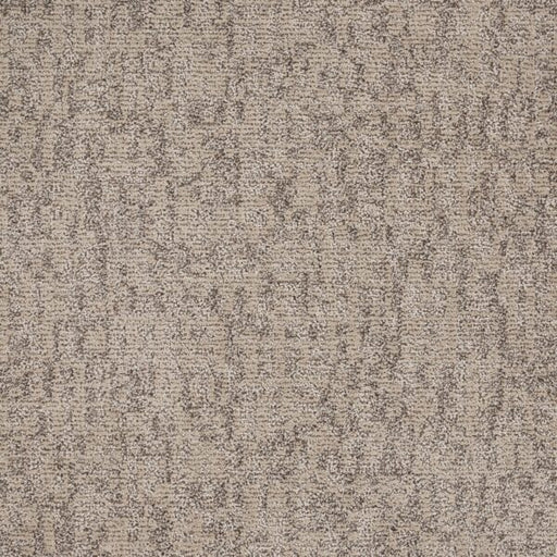 Veiled Tapestry Polypropylene Classic Carpet Loop 1