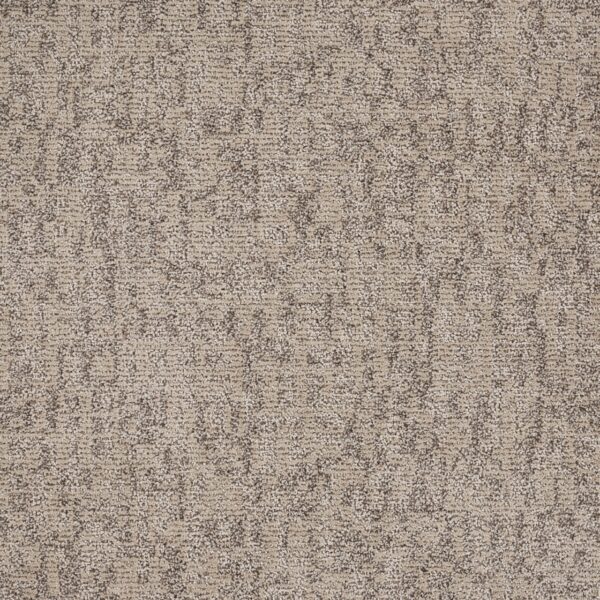 Veiled Tapestry Polypropylene Classic Carpet Loop 1