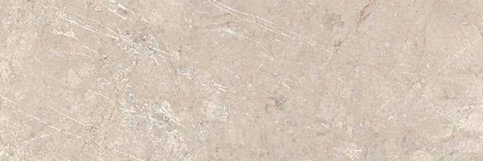 Full Tile Sample - Velvet Almond Porcelain Tile - 24" x 48" Matte