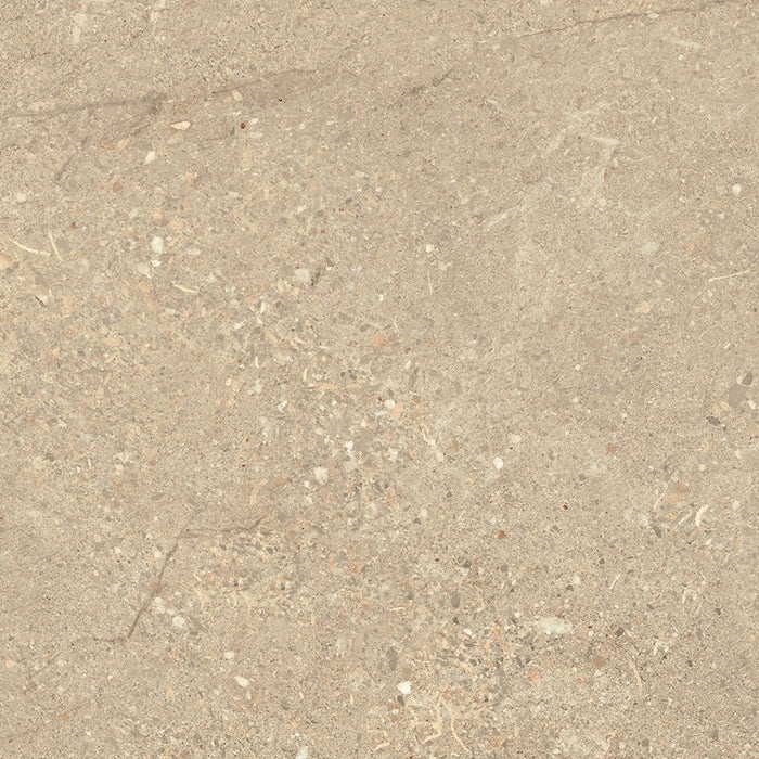 Full Tile Sample - Victoria Beige Porcelain Tile - 24" x 24" x 3/8" Matte