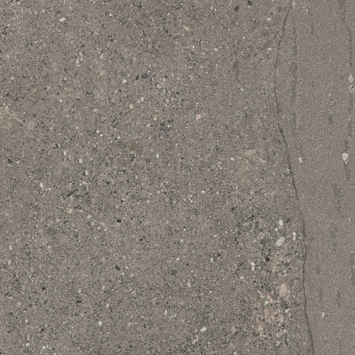 Full Tile Sample - Victoria Turtledove Porcelain Tile - 24" x 24" x 3/8" Matte