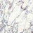 Calacatta Viola Marble Tile - Honed
