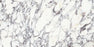 Calacatta Viola Marble Tile - Honed