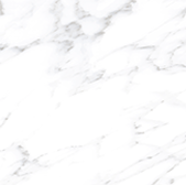 Dama Carrara Ceramic & Porcelain Tile - Matte