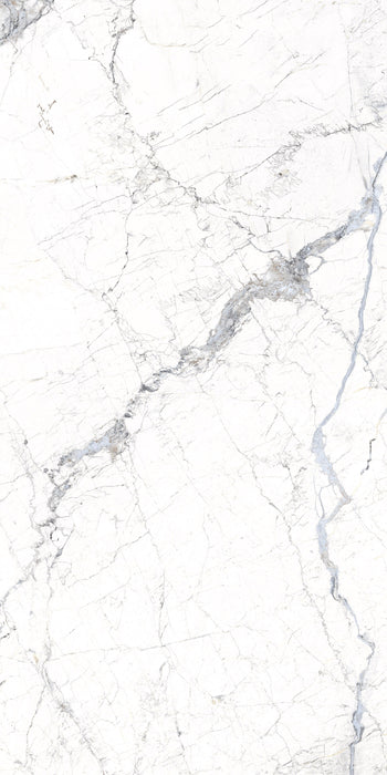 Windsor Porcelain White Tile Polished 1
