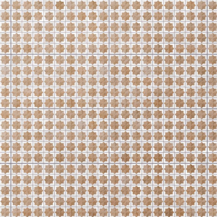 Tetuan Porcelain Astre Cotto White WRL22TACW