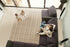 Bahia Polysilk Cord 6703 Carpet Pattern 2