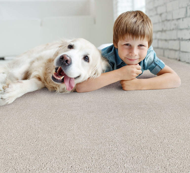 Wessex Ii Polyester Cloud 21745 Carpet Textured 2