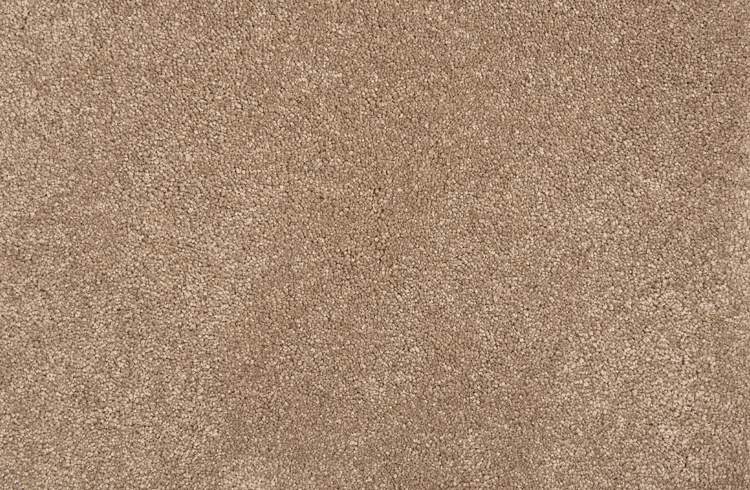 Wessex Ii Polyester Latte 21744 Carpet Textured 1