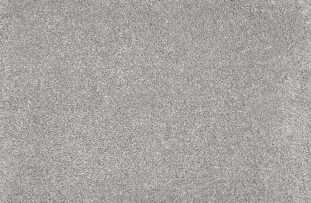 Wessex Ii Polyester Smoke 21746 Carpet Textured 1